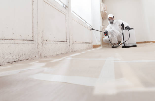 24/7 Emergency Black Mold Remediation experts in Hamburg, PA